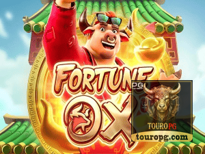 TOURO PG login — painel de entrada no app oficial